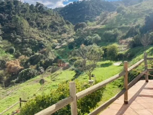 Finca rústica en Camino de Istán s/n - Foto 38