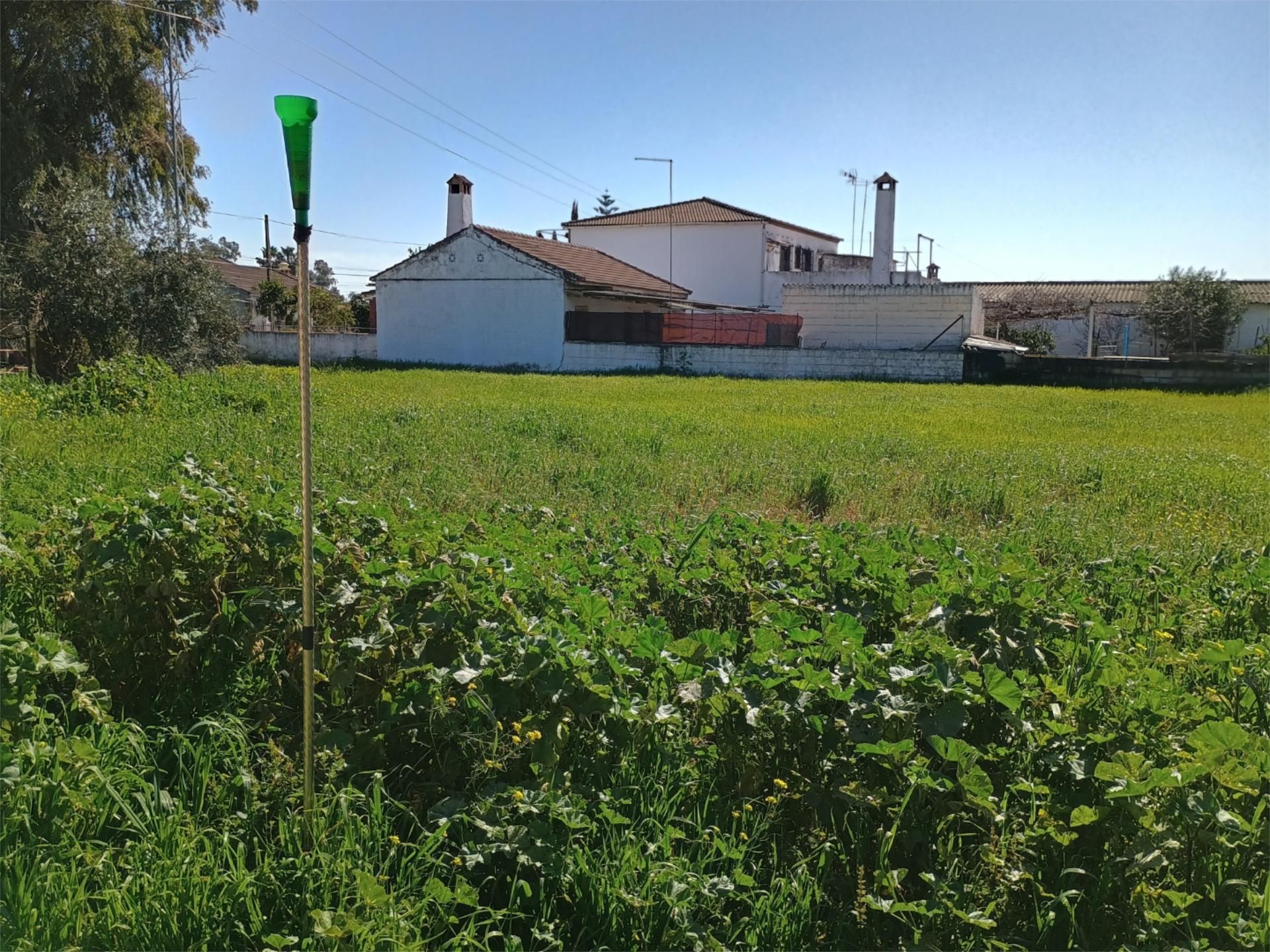 Finca rústica en  Camino de la Barquera 51 - Foto 11