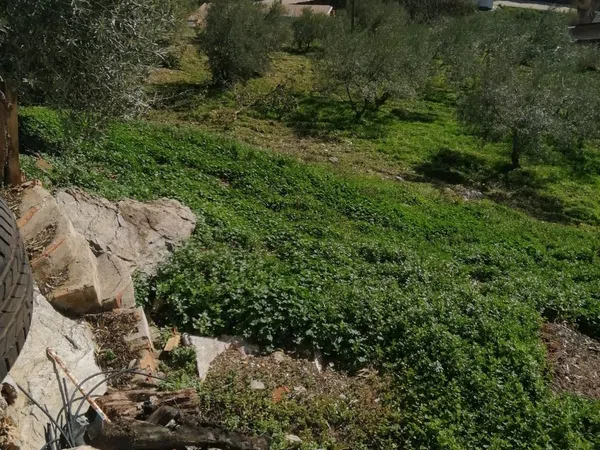 Casa rural en Barriada Don Ramón, 19, Diseminados - Foto 27