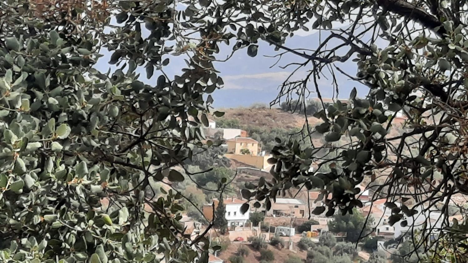 Casa rural en Barriada Ventorros, 18 - Foto 12