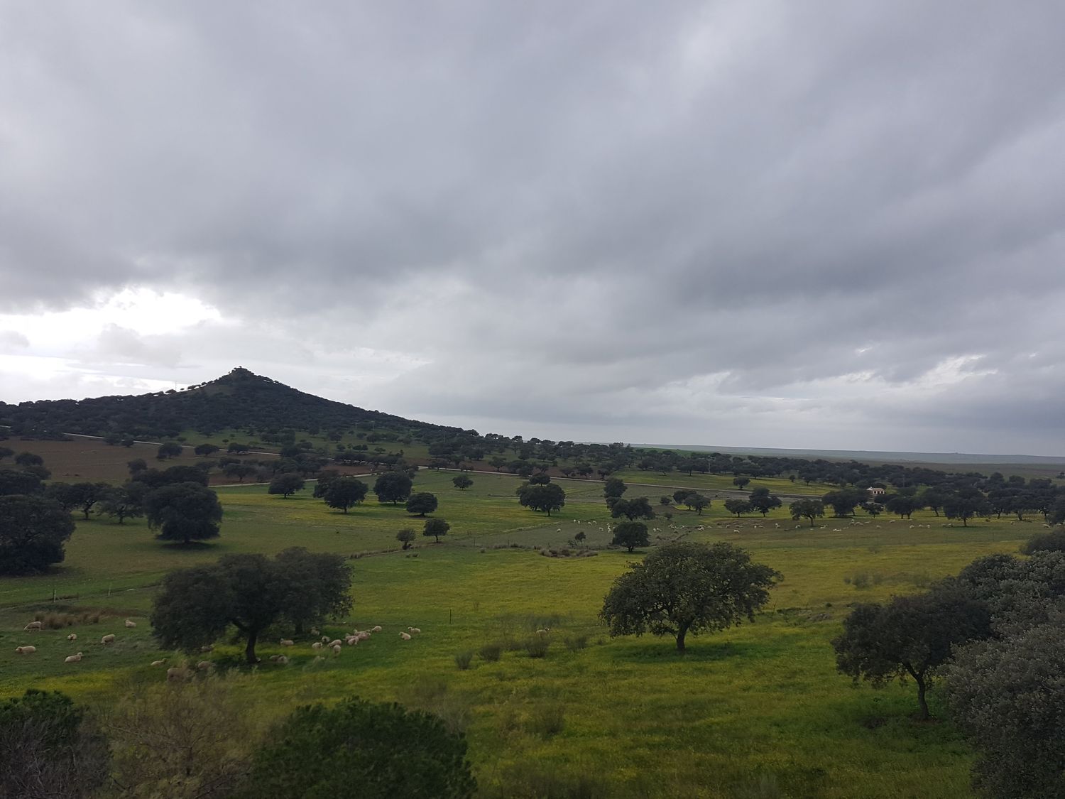 Cortijo en Cortijo en Ex-323 s/n - Foto 28