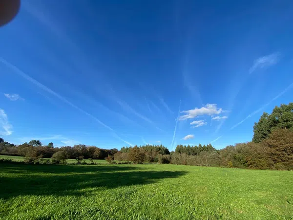 Finca rústica en Calle Ribela, 2 - Foto 2
