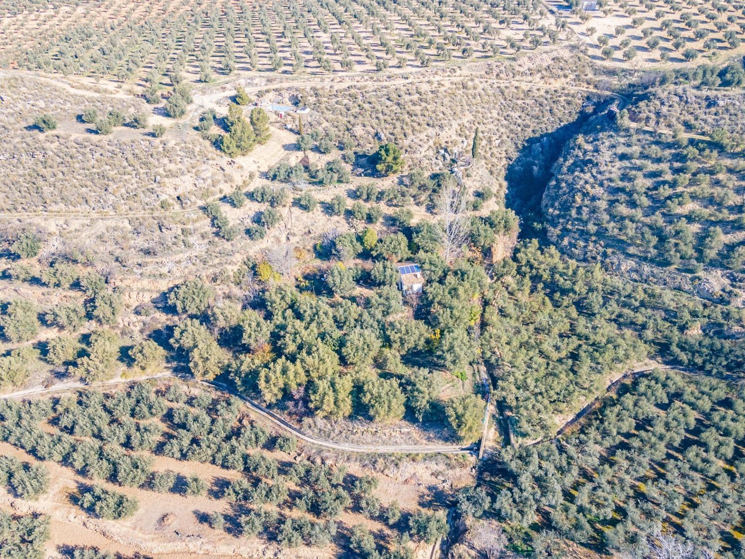 Cortijo en Solana s/n - Foto 19