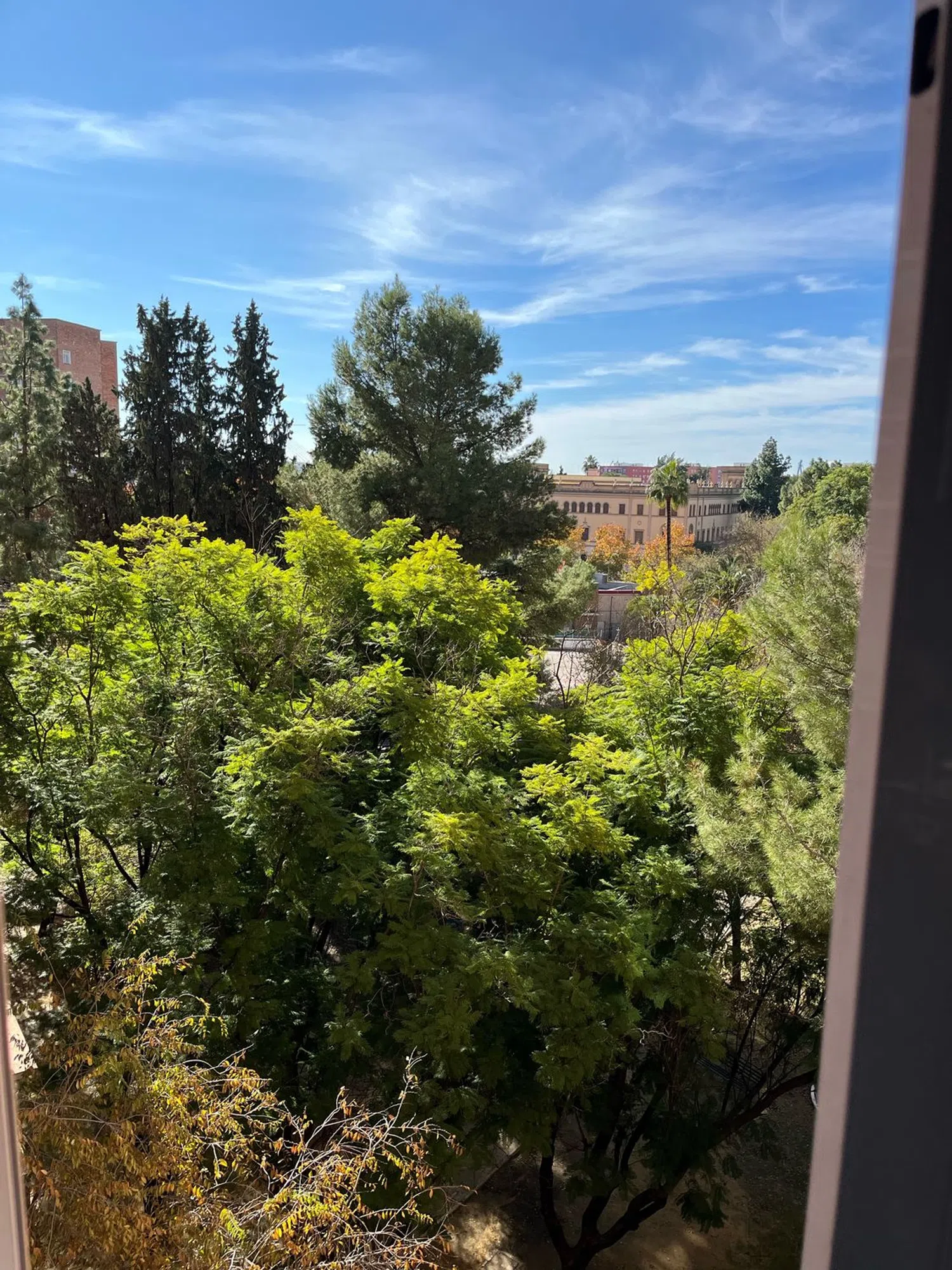 Piso en avenida Manuel Siurot, 3 - Foto 10