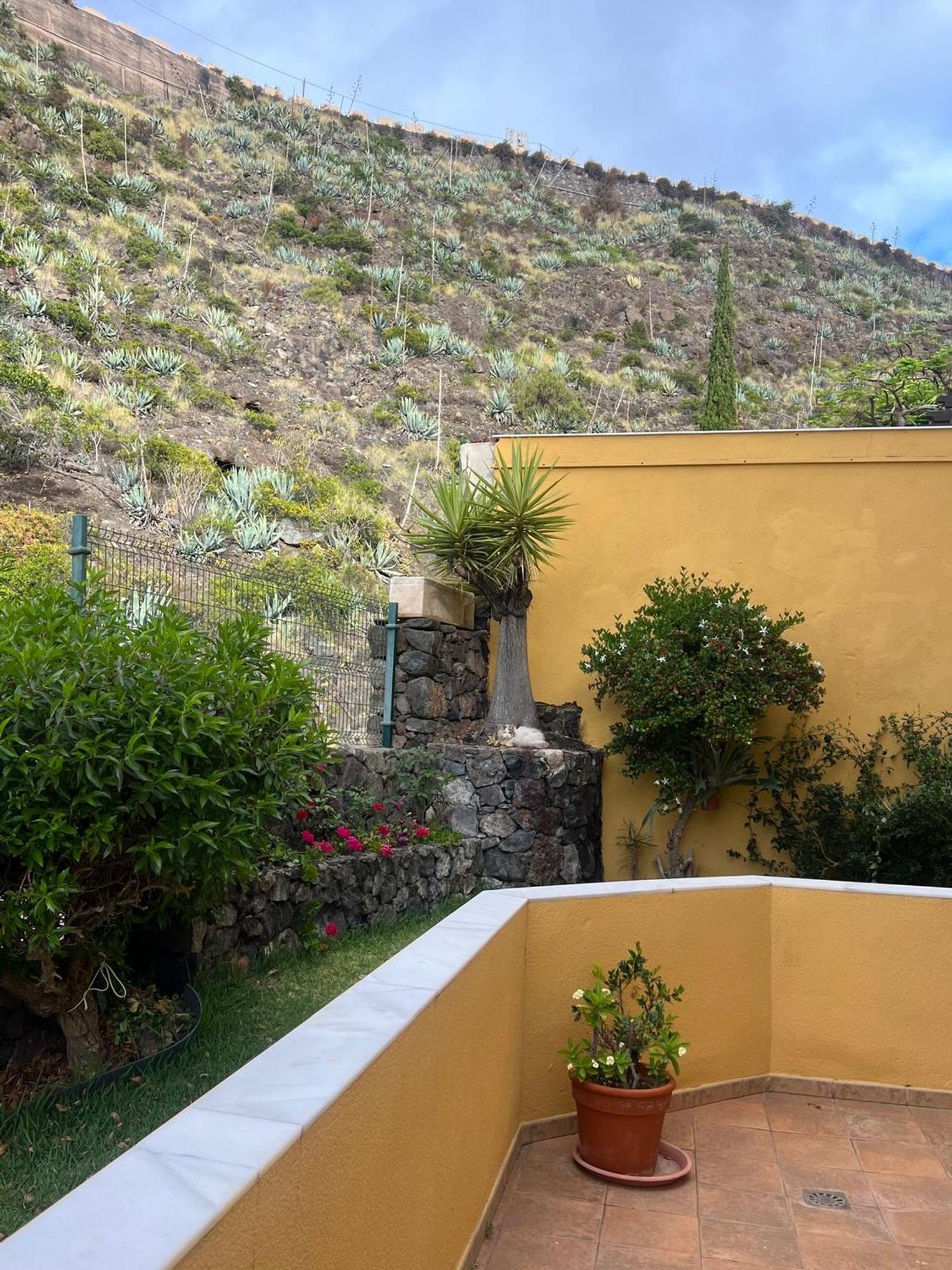 Piso en Calle Rubens Marichal López, 67 a, Ifara-Las Mimosas - Foto 9