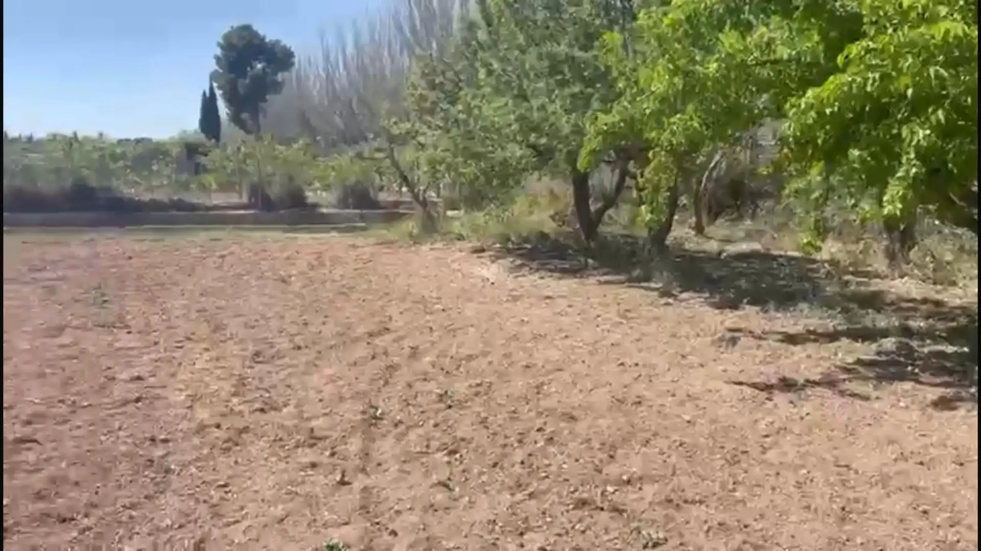 Finca rústica en  Calle de Alfocea 20 - Foto 2