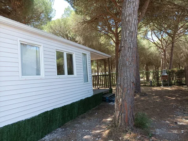 Casa o chalet independiente en Calle Obispo, 4, Cuatro Pinos-El Carmen - Foto 1