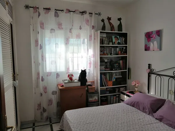 Casa o chalet independiente en Calle Rubiños, 67, El Pino-Bajo de Guía, El Pino-Bajo de Guía - Foto 14
