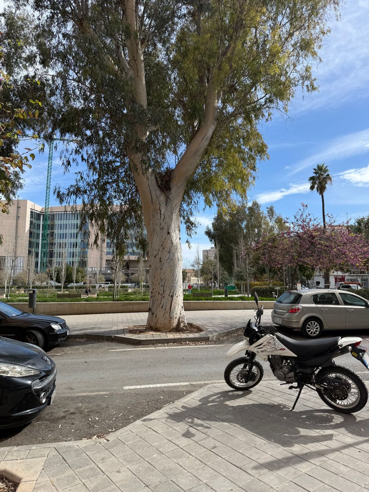 Piso en calle Deportista Ángel Aznar, 5 - Foto 25