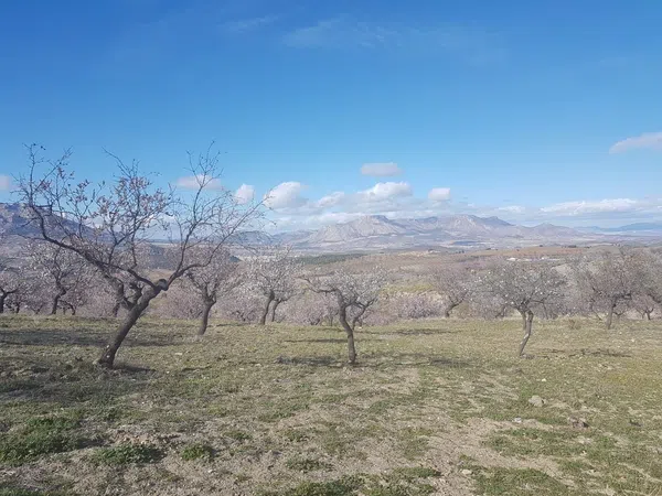 Cortijo en Cortijo en Al-7101, 1 - Foto 7