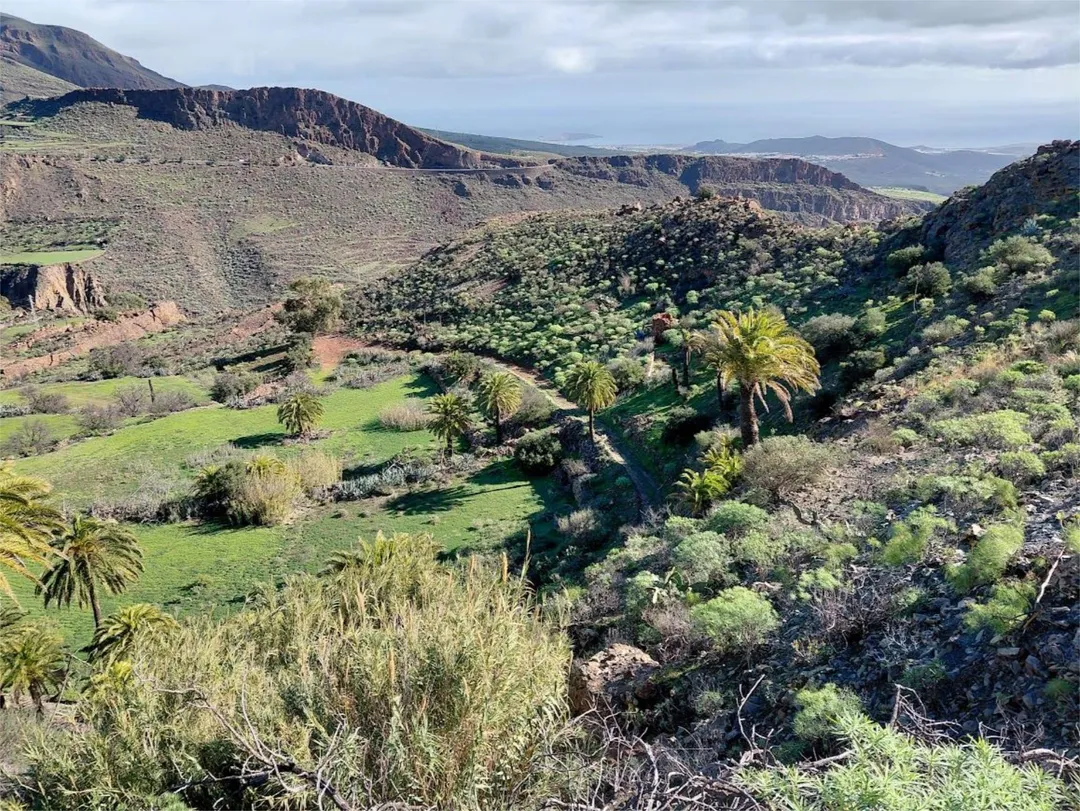 Finca rústica en calle Calle Espíritu Santo 15 - Foto 42