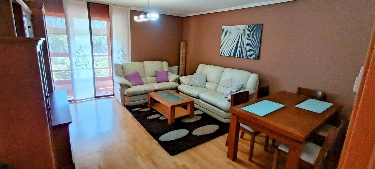 Piso en calle Fragas do Eume, 26 - Foto 10