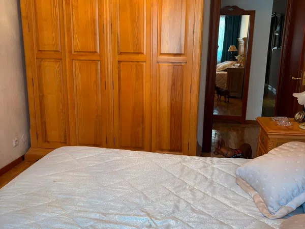 Piso en Calle de Juan Mambrilla, 22, Centro, Centro - Foto 20