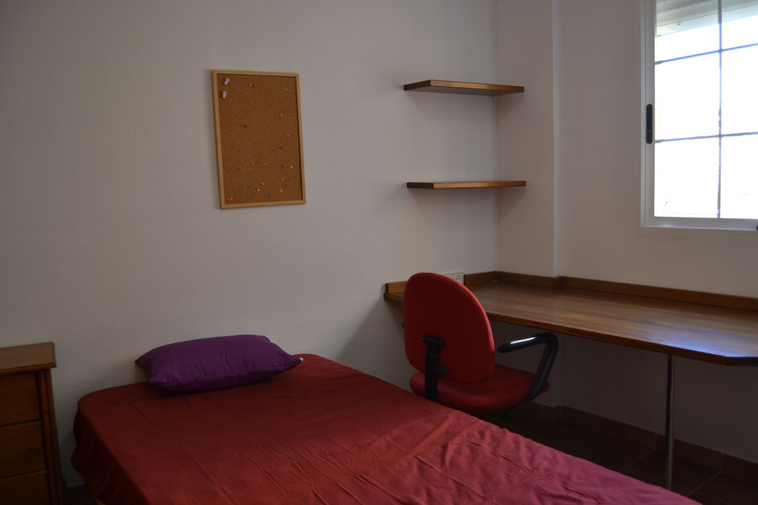 Dúplex en Calle Monseñor Francisco Gil Hellín, 19, La Ñora - Foto 9