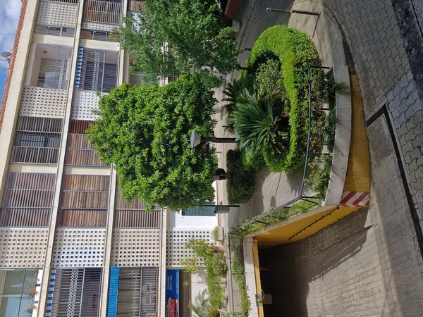 Piso en calle San José, 21