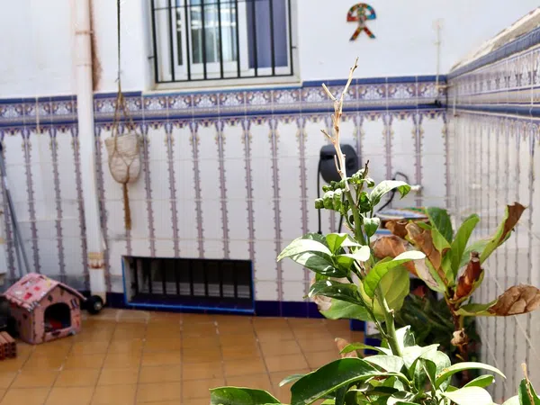 Chalet adosado en Calle Camino del Palmeral, 20 I, Zona el Palmeral, Zona el Palmeral - Foto 19