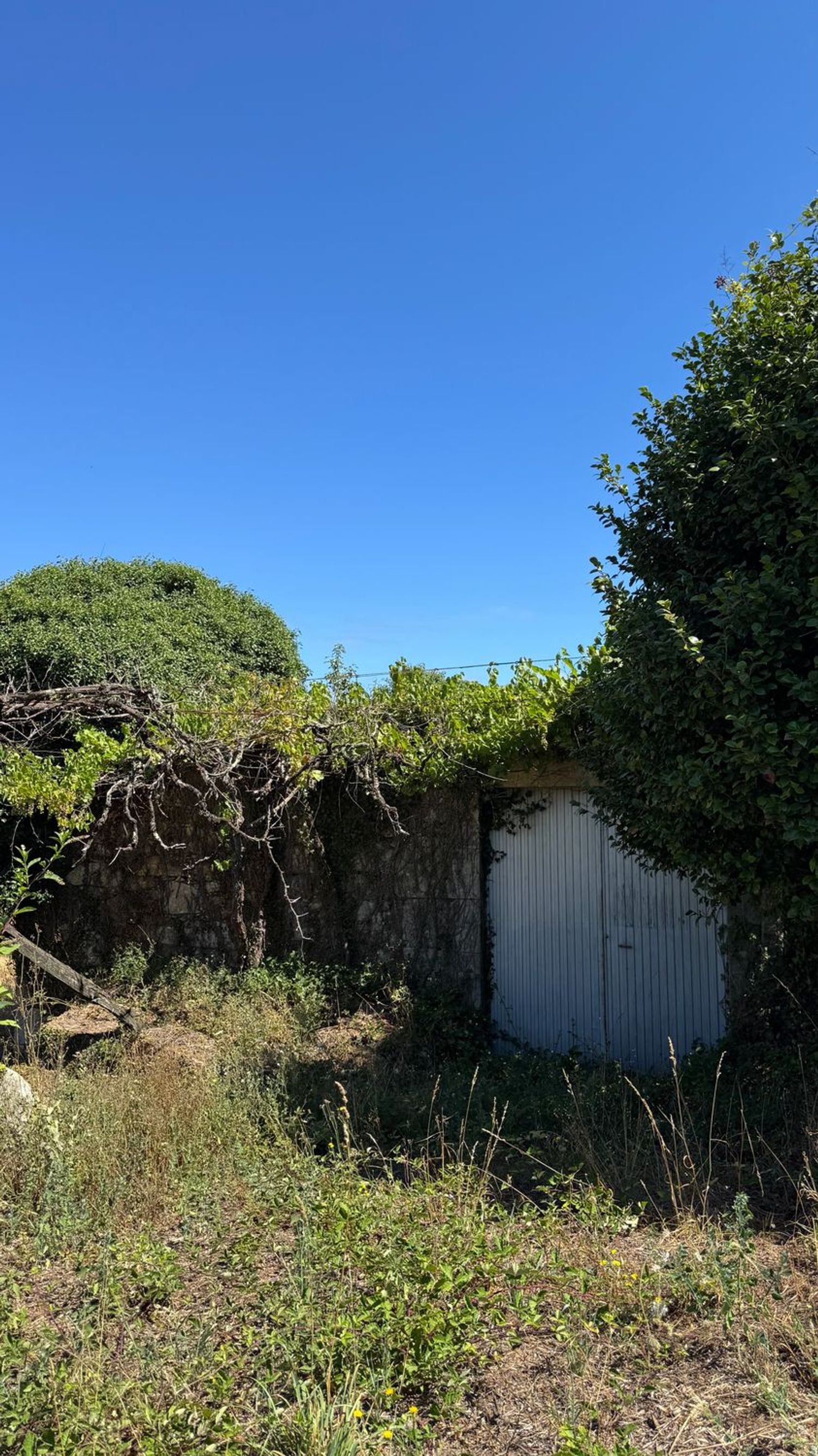 Finca rústica en San Cristóbal de Remesar, 3 - Foto 15
