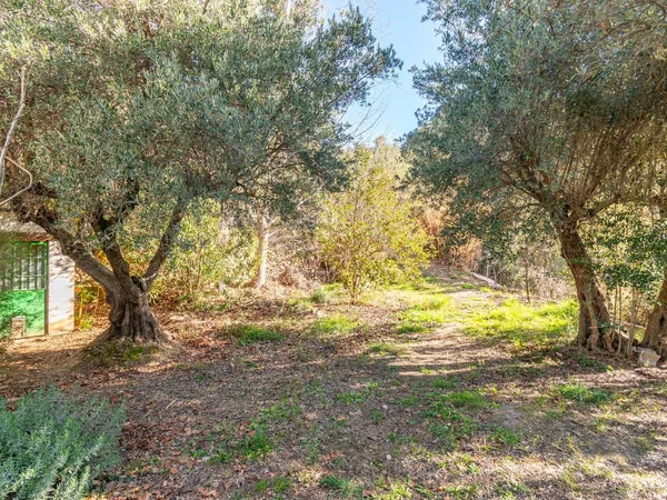 Cortijo en Solana s/n - Foto 4