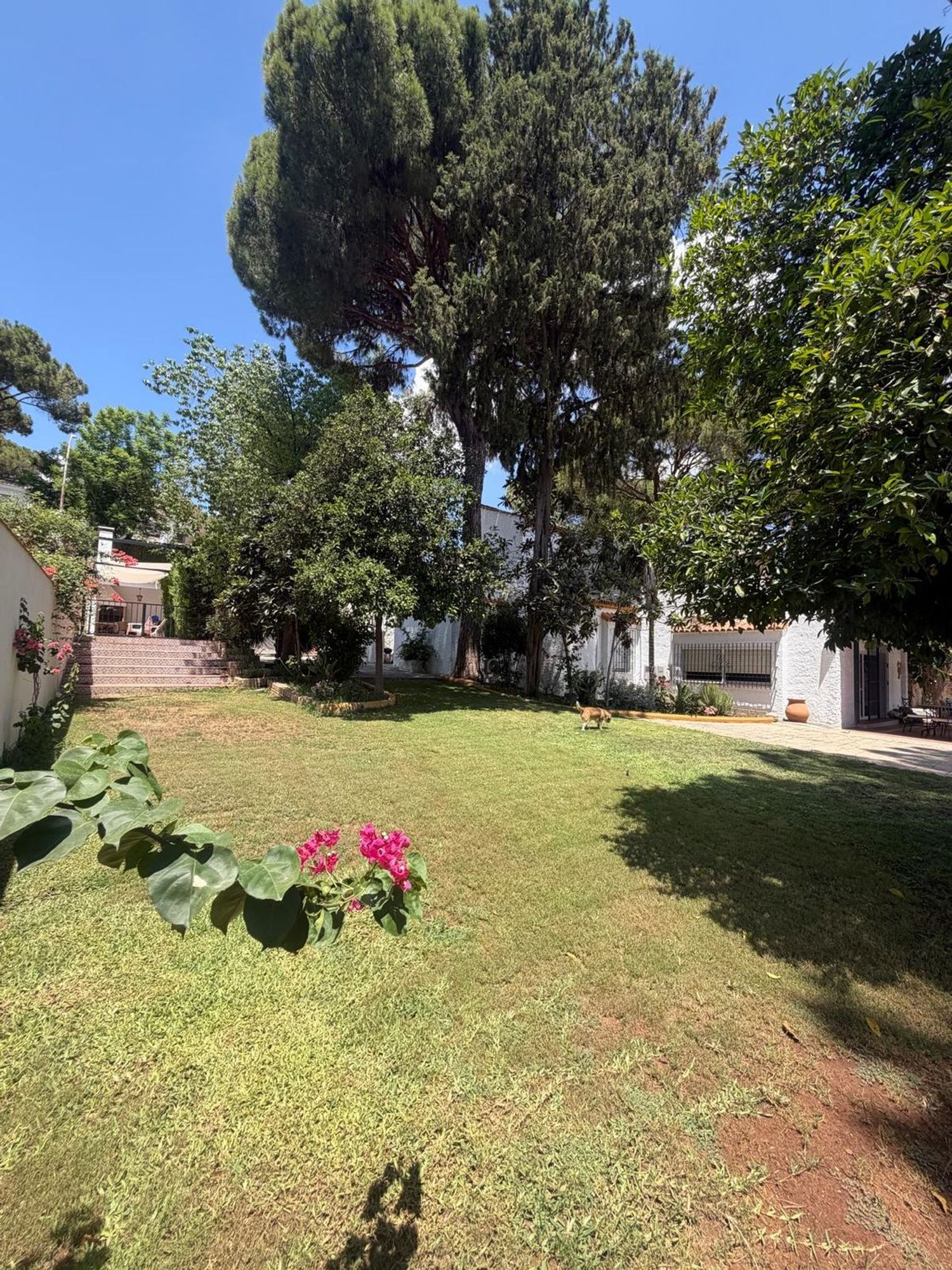 Casa o chalet independiente en Calle de Oromana, 18 PinoRojo, Oromana, Oromana - Foto 11