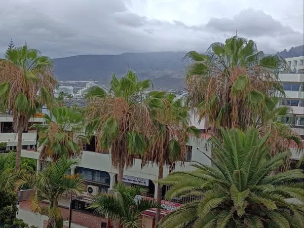 Estudio en Av. R. P. Lluvina, 32 - Foto 11