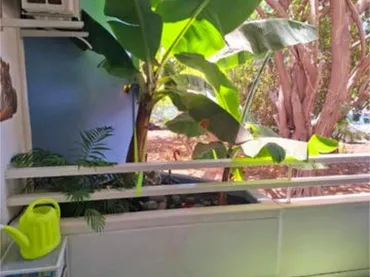 Apartamento en golf del sur - Foto 7