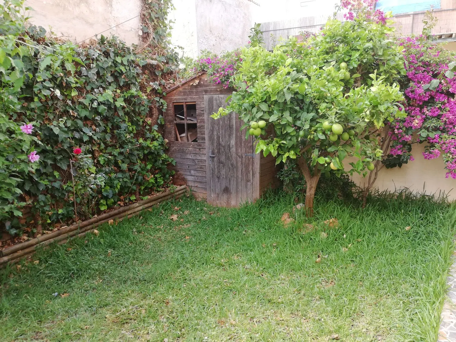 Chalet adosado - Foto 20