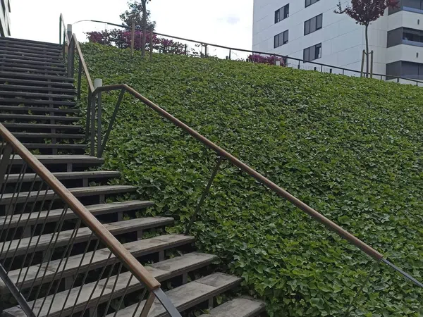 Piso en calle de Emilia Guàrdia i Arbusi, 4 - Foto 17