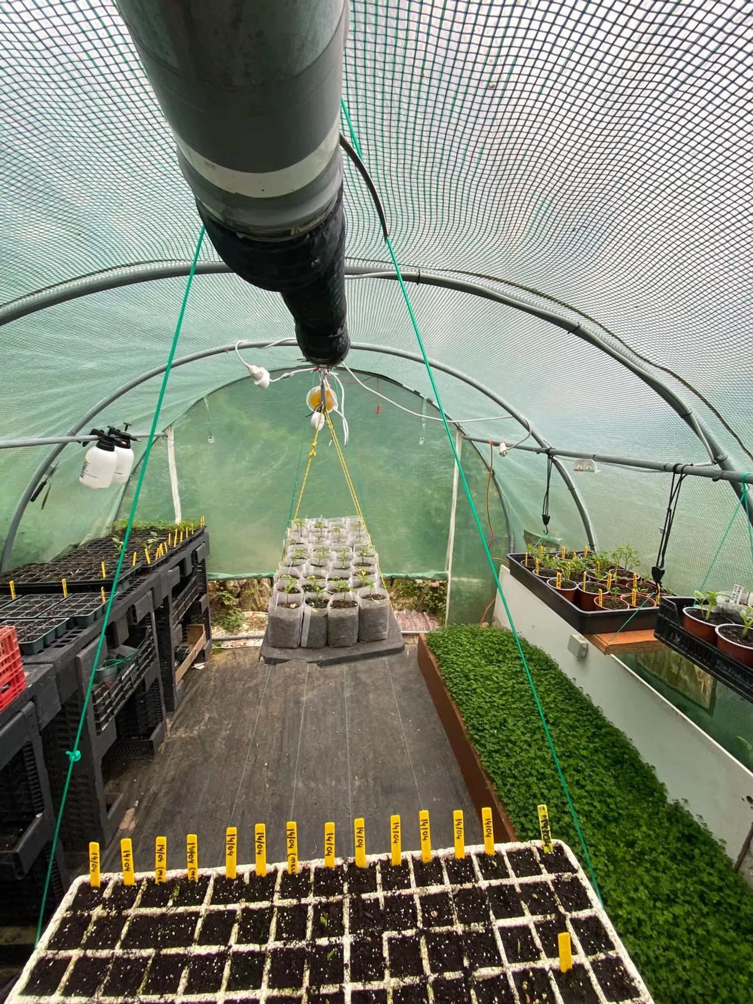 Casa independiente en calle Lila, 16 - Foto 14