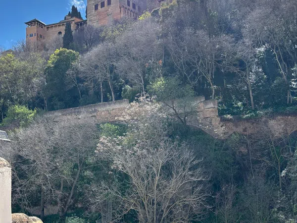 Ático en Carrera del Darro, 10