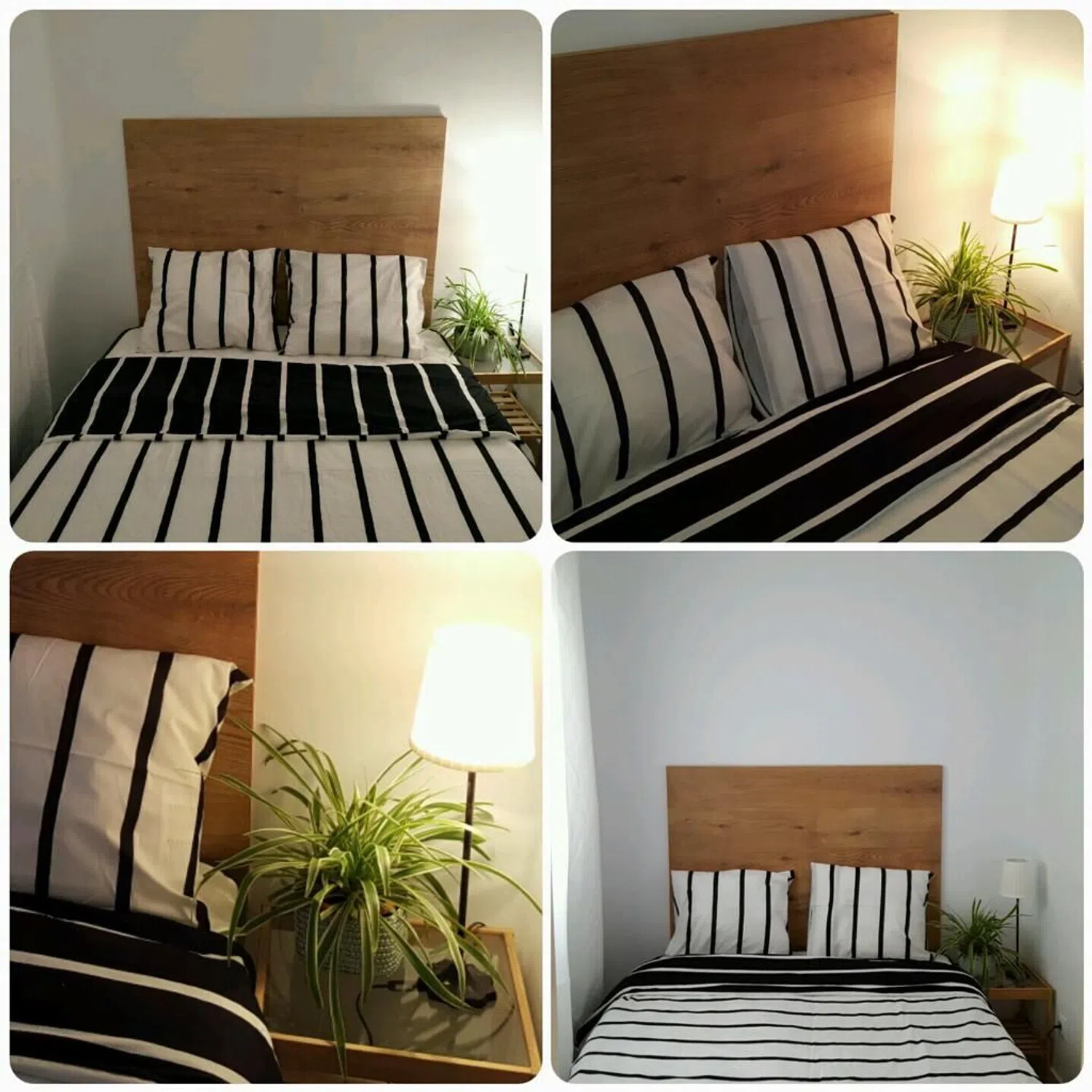 Piso en calle Doctor Esquerdo, 22 - Foto 5