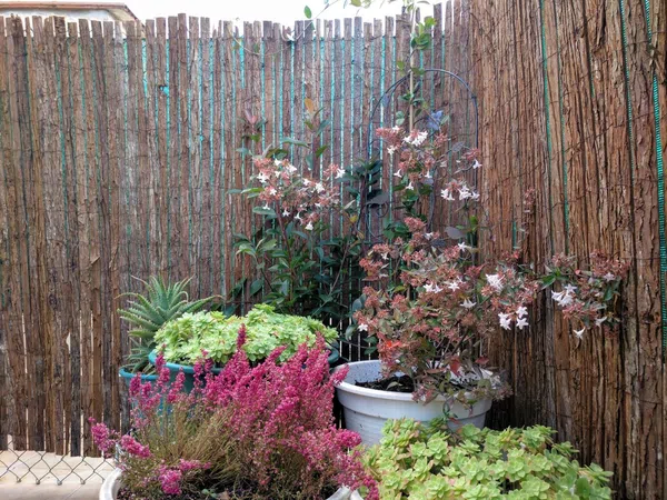 Ático en Iturrama - Foto 10