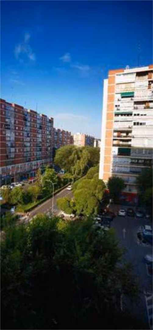Chalet en Barrio del Pilar - Foto 7