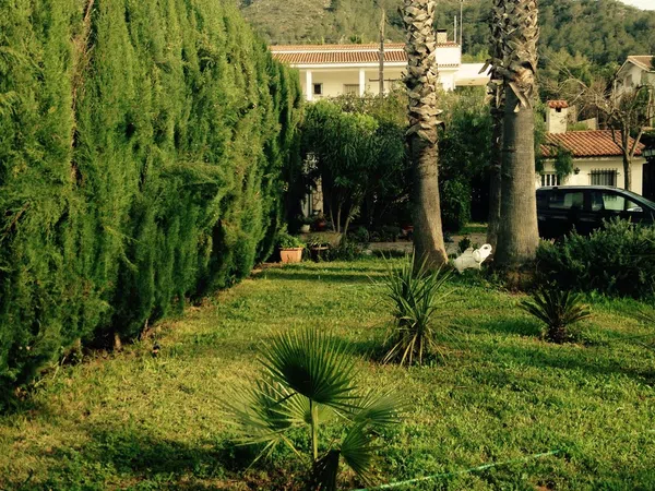 Casa o chalet independiente en Pino Grande, 1 - Foto 15