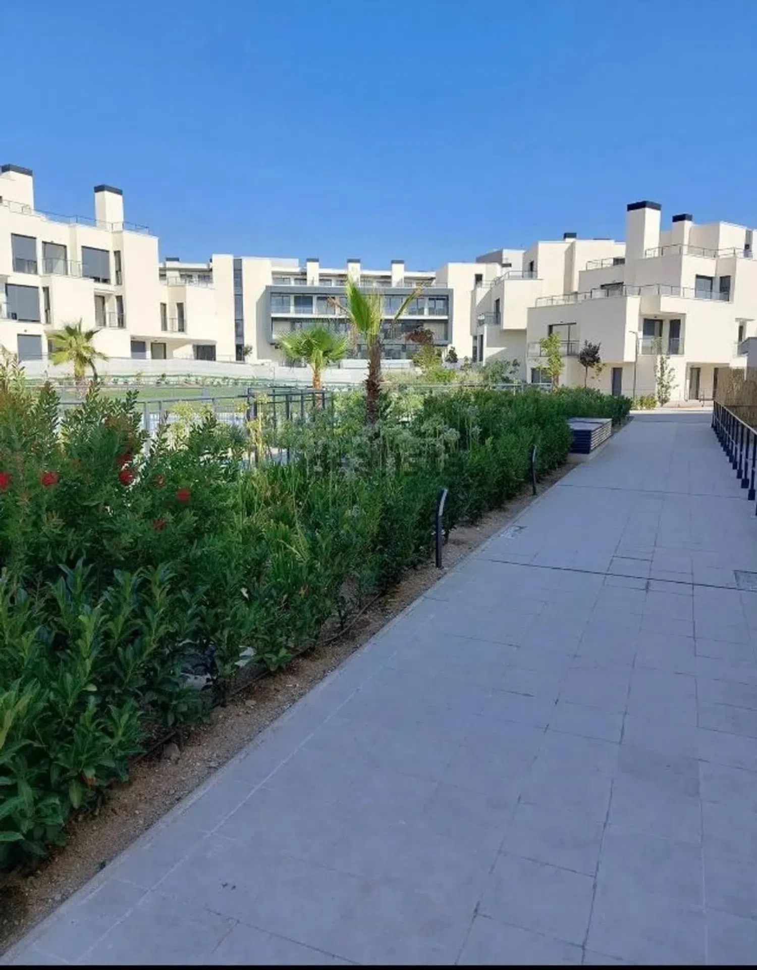 Estudio en avenida del Camino de lo Cortao, 14 - Foto 20