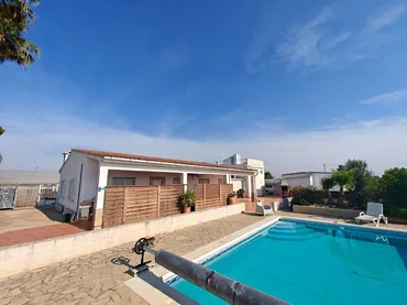 Finca rústica en Algemesí - Foto 1