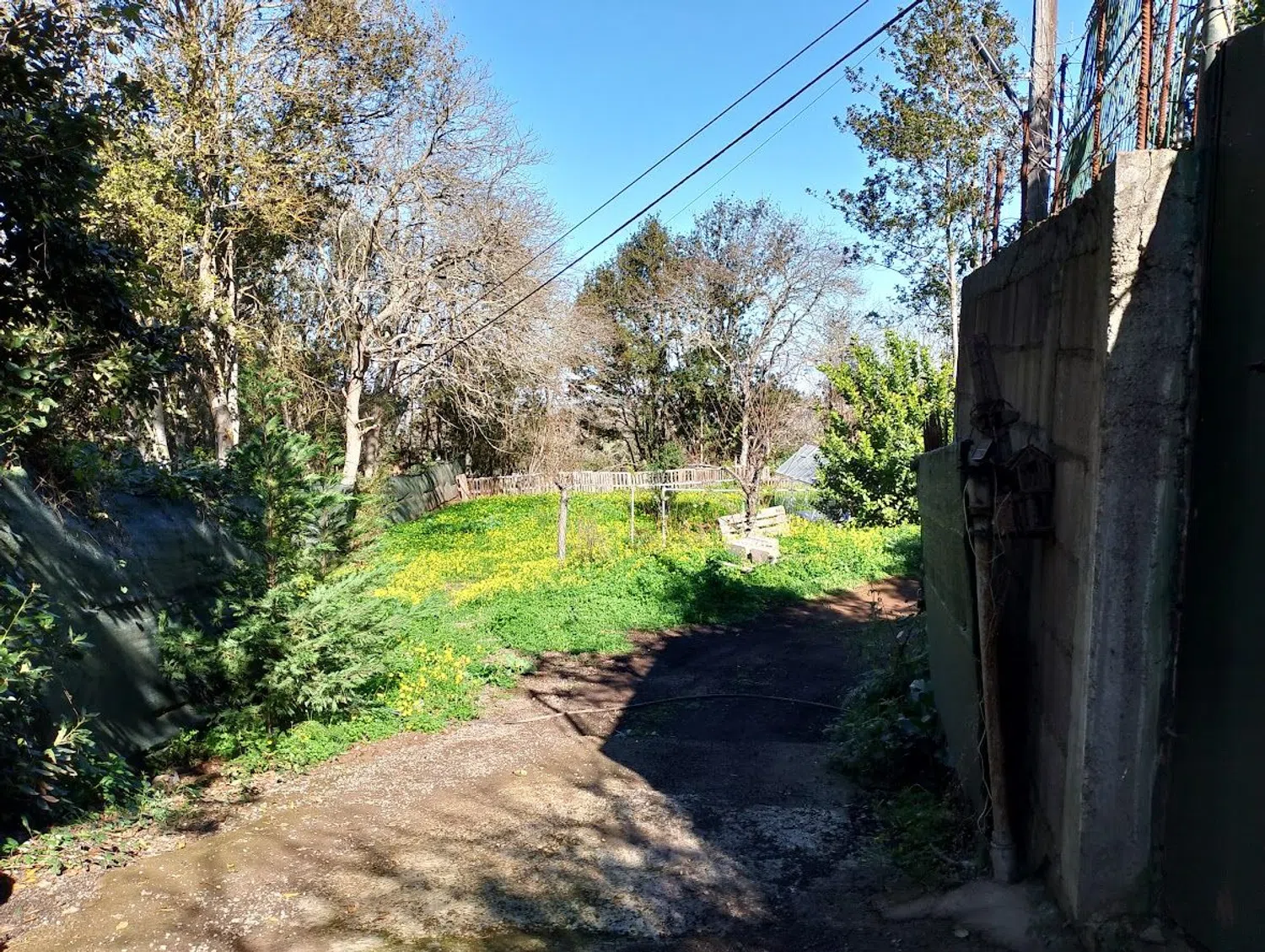 Finca rústica en camino el Laurel, 5555 - Foto 12