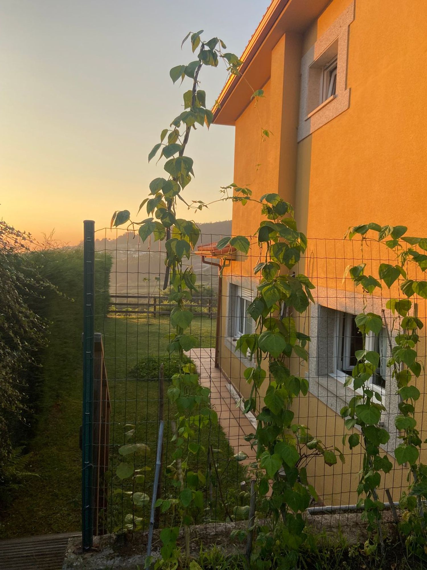 Casa o chalet independiente en Doniños, 259, Doniños - Esmelle - San Jorge, Doniños - Esmelle - San Jorge - Foto 22
