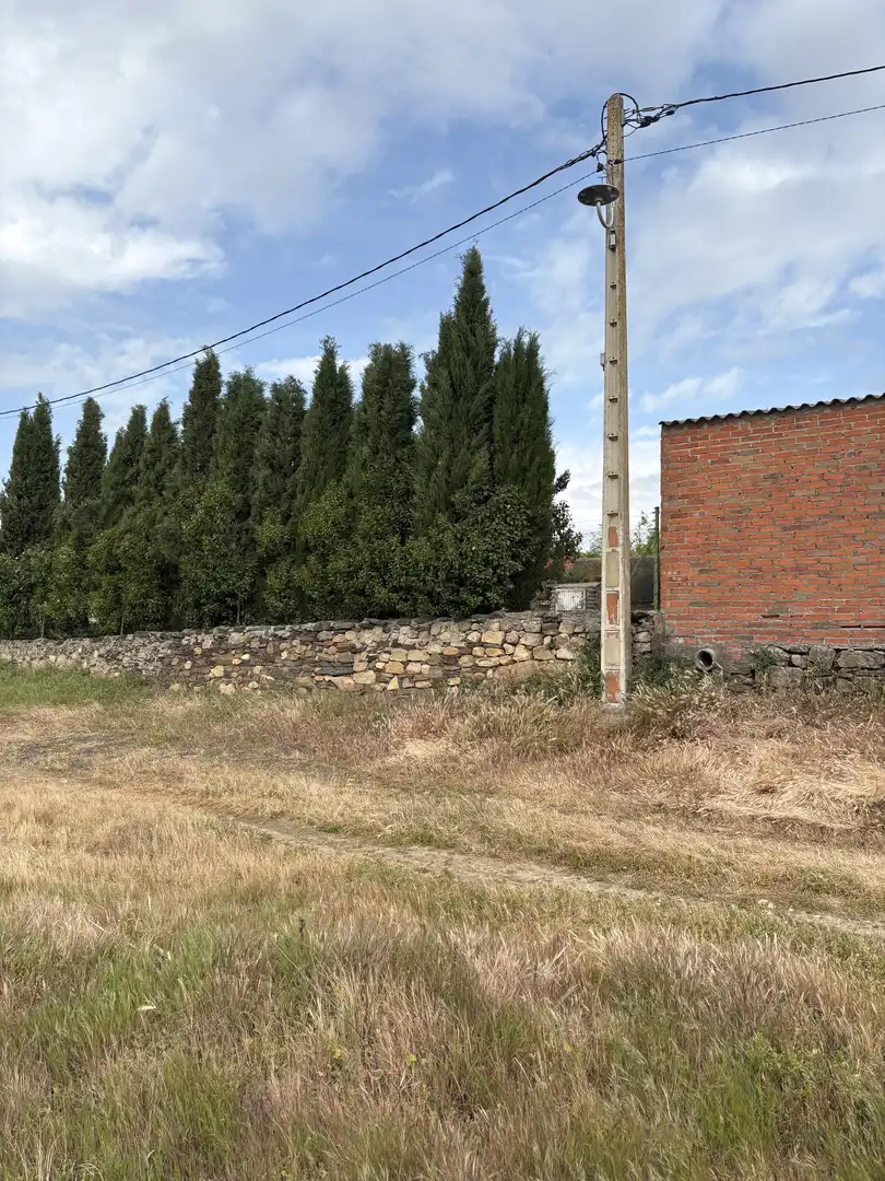 Finca rústica en  Calle Pozo Nuevo 8D - Foto 3
