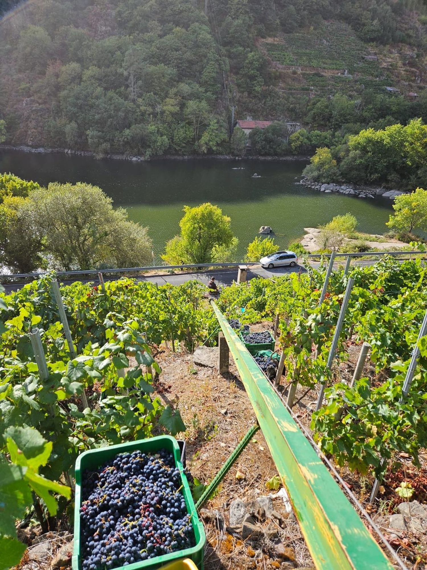Finca rústica en Belesar s/n - Foto 12