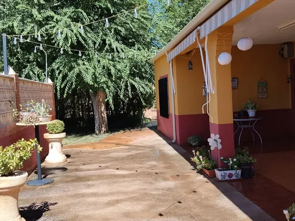 Finca rústica en Camino de las Carretas s/n - Foto 3