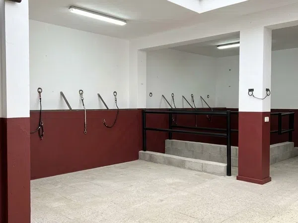 Chalet adosado en Calle Torre Carbonero, 147, El Rocío, El Rocío - Foto 10