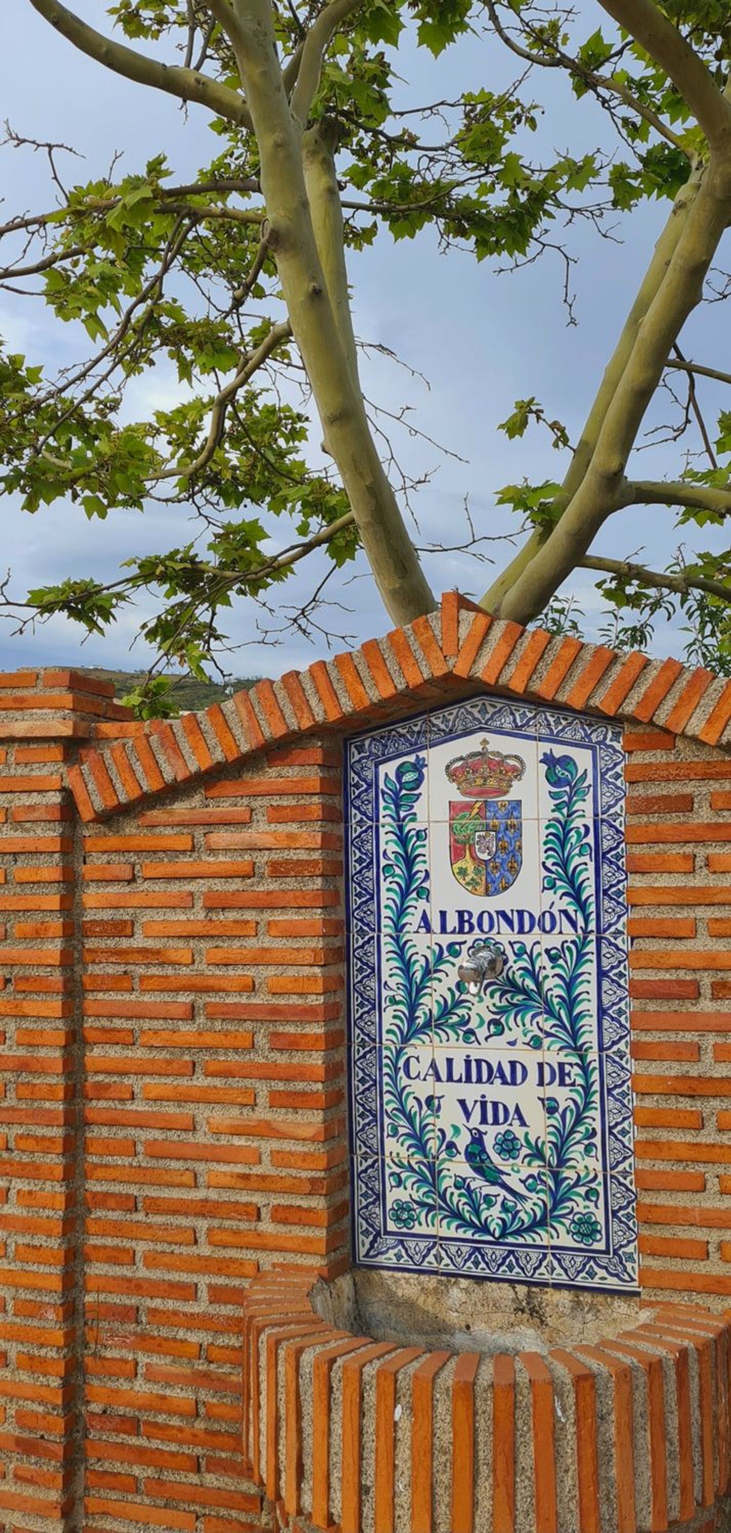 Casa de pueblo en Calle la Paz, 4 - Foto 20