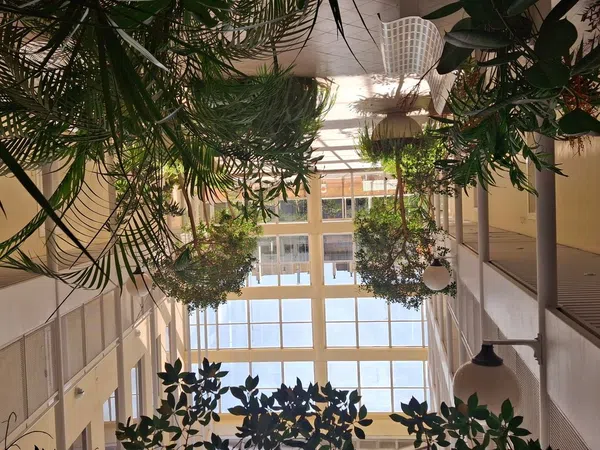 Ático en calle Luis Montoto, 116 - Foto 11