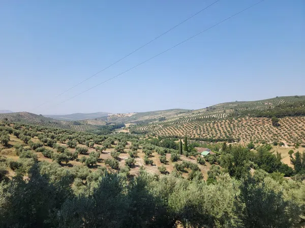 Cortijo en Cortijo en Camino la Dehesa s/n - Foto 6