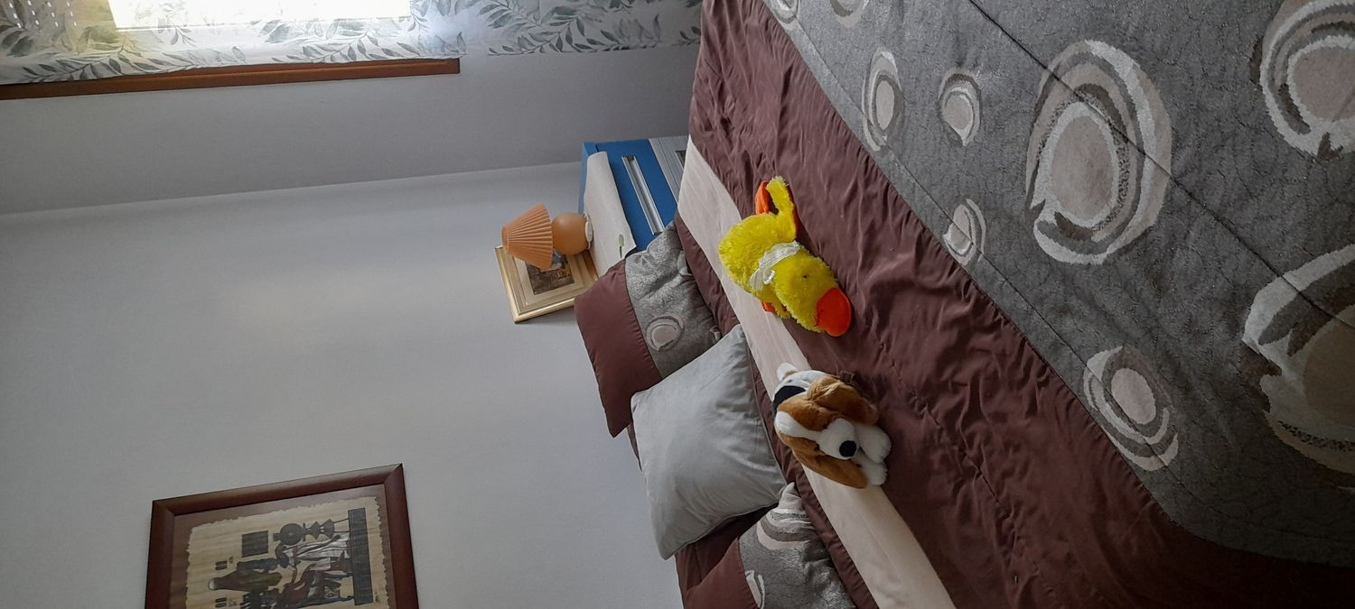 Casa independiente en calle Matorral, 21 - Foto 15