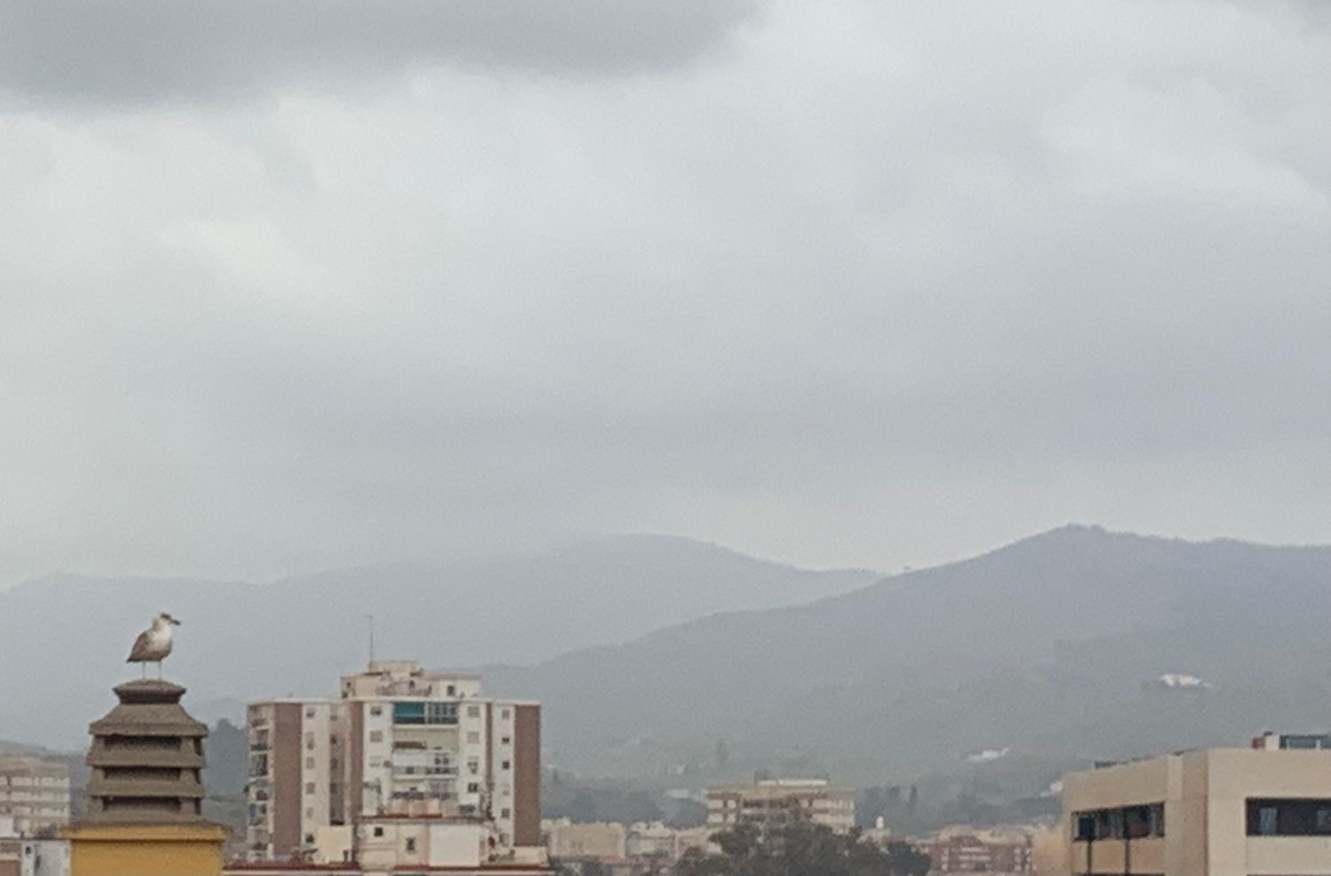 Ático en calle Mazarredo, 1 - Foto 30