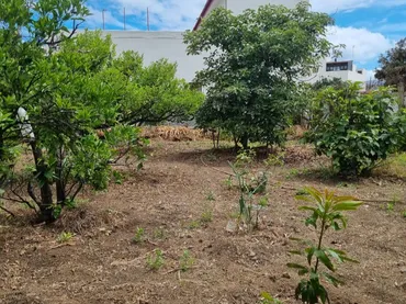 Terreno Residencial en  Lugar Llanos de Cuatro Caminos 122 - Foto 7