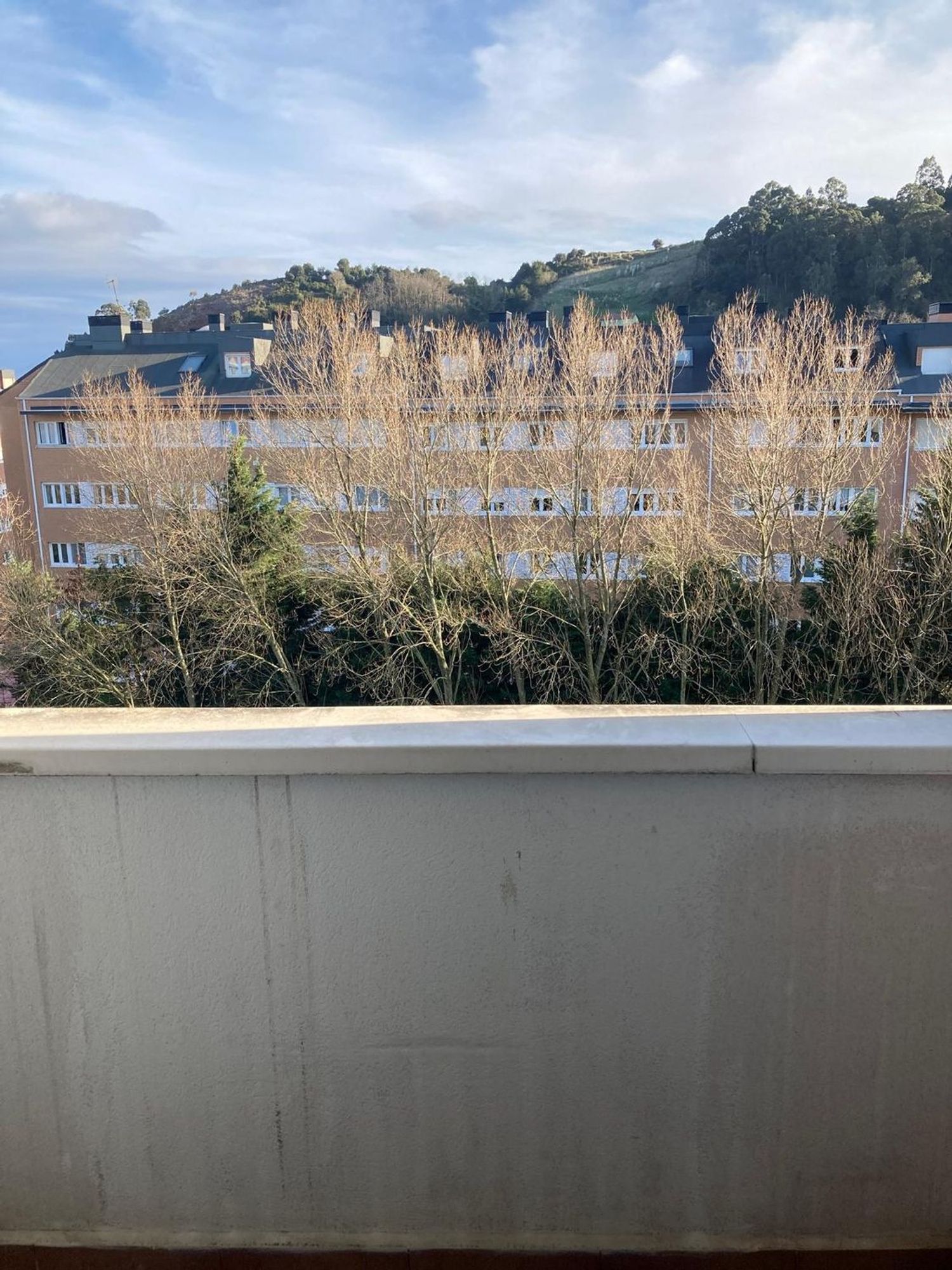 Piso en avenida Herrera Oria, 117 - Foto 11