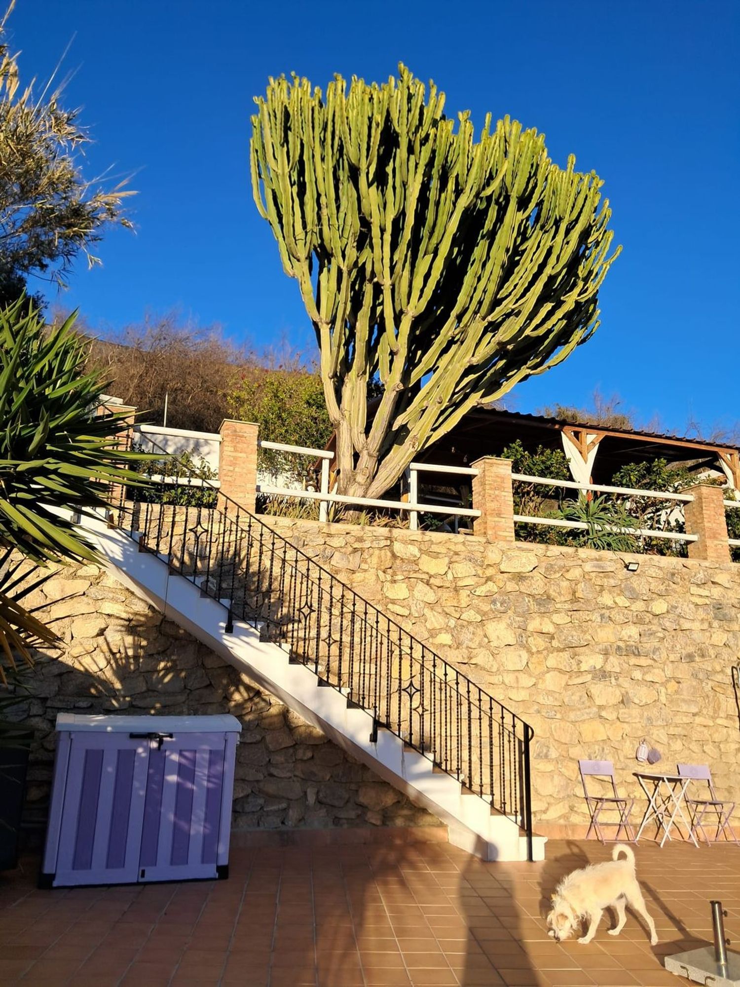 Cortijo en Cortijo en Haza Mora s/n - Foto 27