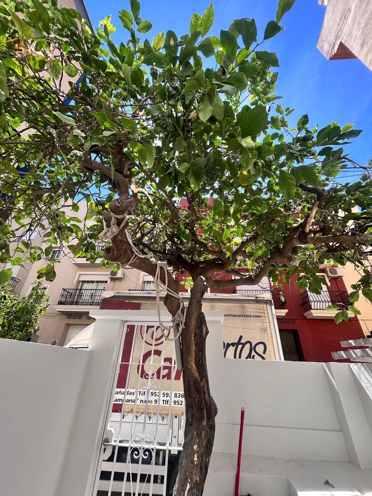 Piso en Clavel, 48 - Foto 6